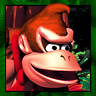 Donkey Kong Country